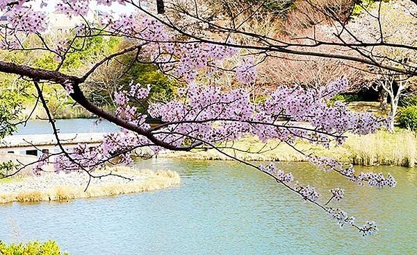 【周辺】佐鳴湖まで540m、市街地に隣接した水と緑に恵まれた公園です。春は桜、夏は花火大会、秋には紅葉、冬にはバードウォッチングが楽しめます。