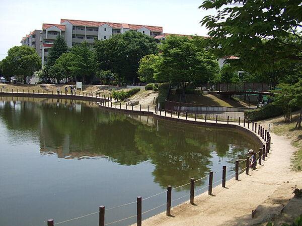 【周辺】樋之池公園（93m）