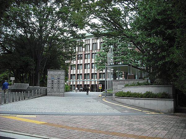 【周辺】【大学】筑波大学（東京キャンパス）まで484ｍ