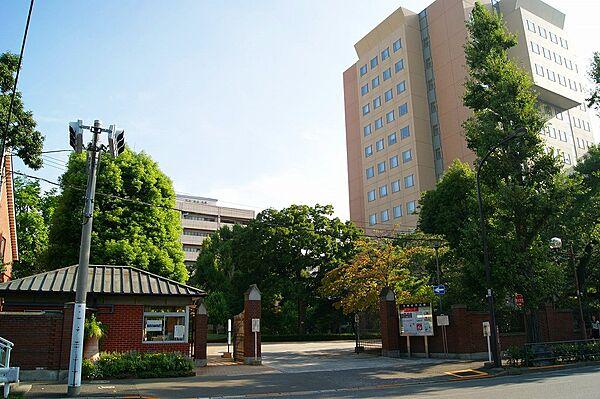 【周辺】【大学】日本女子大学（目白キャンパス）まで1030ｍ