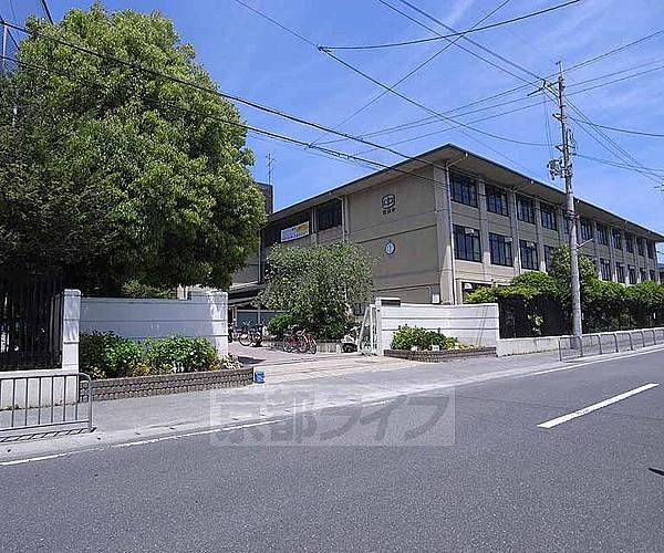 【周辺】松尾中学校まで1000m 桂川沿いの大きな中学校です。
