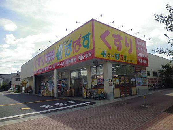 【周辺】どらっぐぱぱす　赤塚新町店