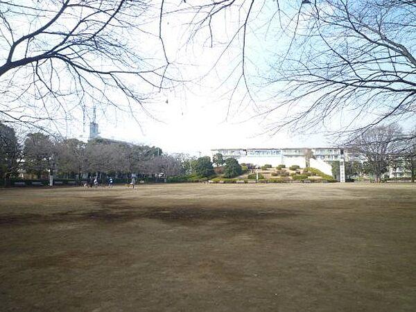 【周辺】【公園】文理台公園まで218ｍ