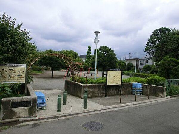 【周辺】【公園】西東京市立ひばりが丘北わんぱく公園まで490ｍ