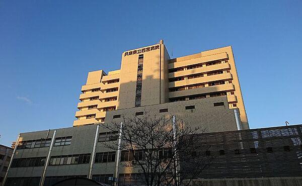 【周辺】【総合病院】兵庫県立西宮病院まで691ｍ