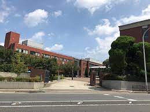 【周辺】京都薬科大学南校舎（1195m）