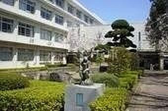 【周辺】神戸市立竜が台中学校 1443m