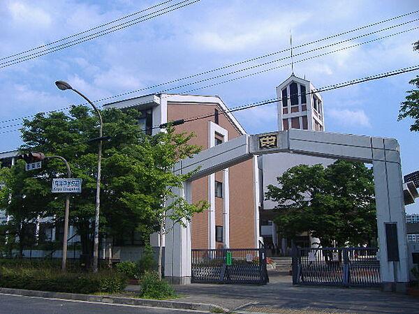 【周辺】神戸市立向洋中学校