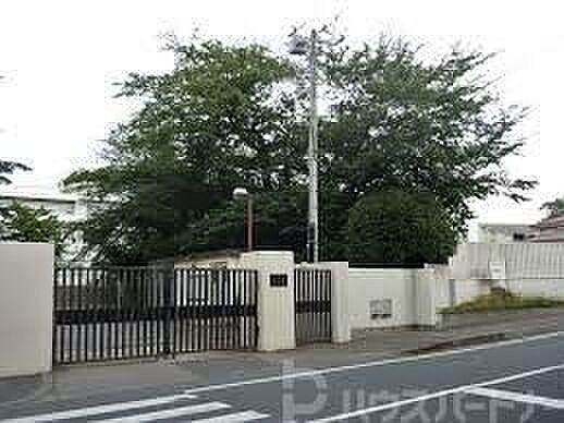 【周辺】松戸市立第一中学校 徒歩17分。 1310m