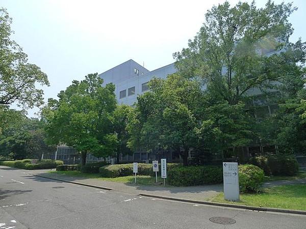 【周辺】公益財団法人東京都保健医療公社東部地域病院 徒歩14分。 1050m