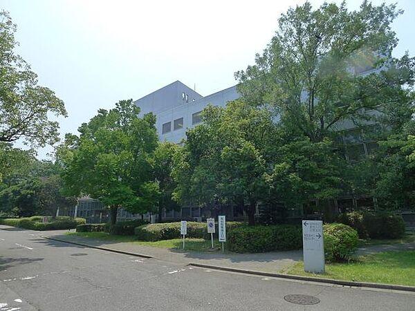 【周辺】公益財団法人東京都保健医療公社東部地域病院 徒歩5分。 390m