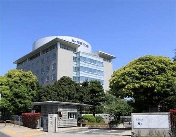 【周辺】私立神奈川大学（1002m）