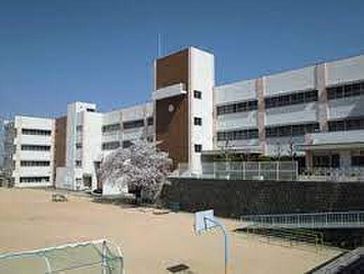 【周辺】【小学校】大阪狭山市立南第三小学校まで359ｍ