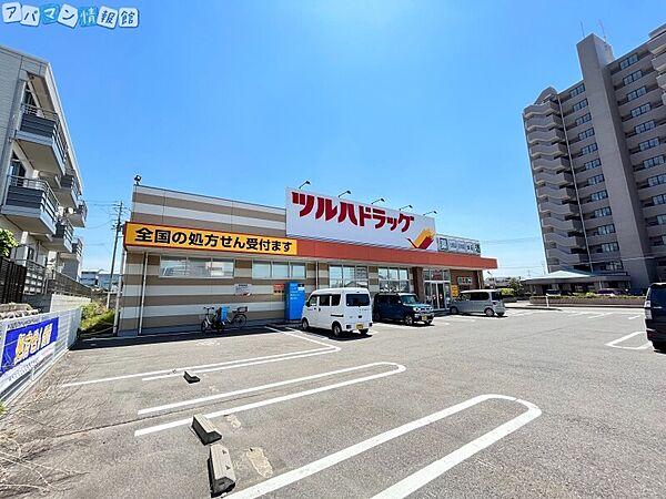 【周辺】ツルハドラッグ新潟関屋店 770m