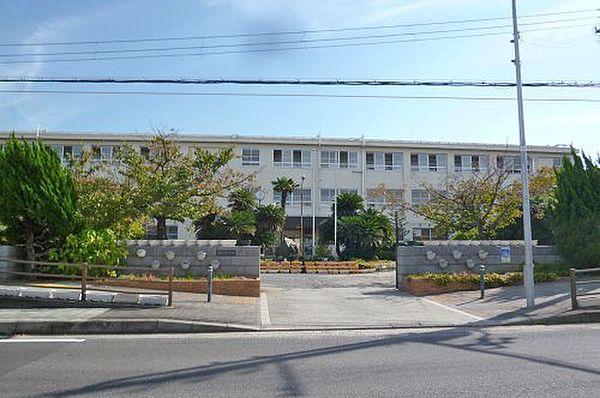 【周辺】【中学校】貝塚市立第一中学校まで2000ｍ