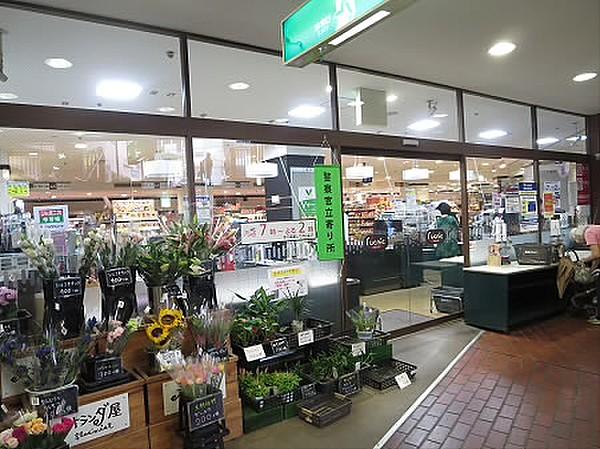 【周辺】東武ストアフエンテ下高井戸店（841m）