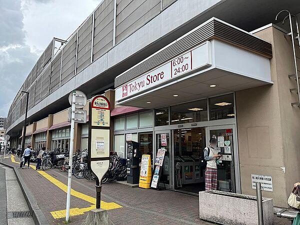 【周辺】東急ストア新丸子店　徒歩約5分♪