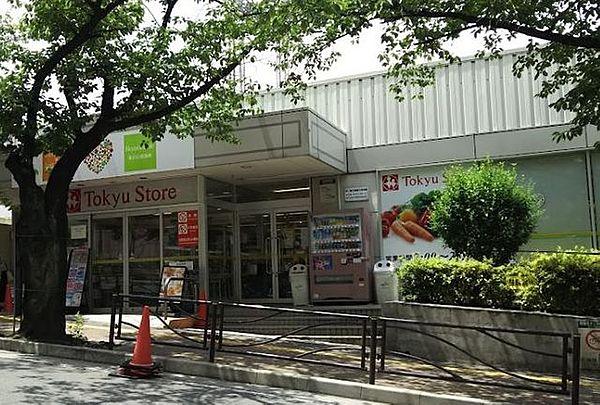 【周辺】東急ストア宮崎台店 徒歩8分。 610m