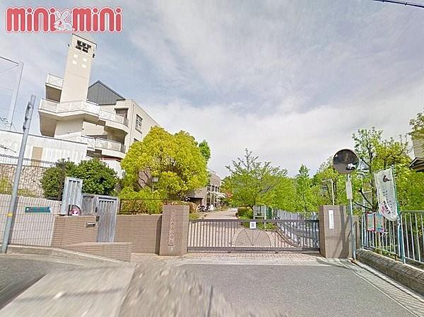 【周辺】神戸市立山の手小学校 685m