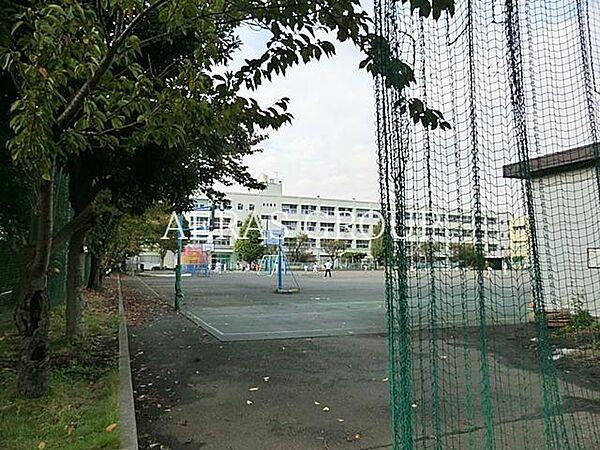 【周辺】横浜市立大綱小学校 646m