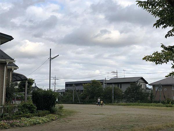 【周辺】加茂川公園（538m）