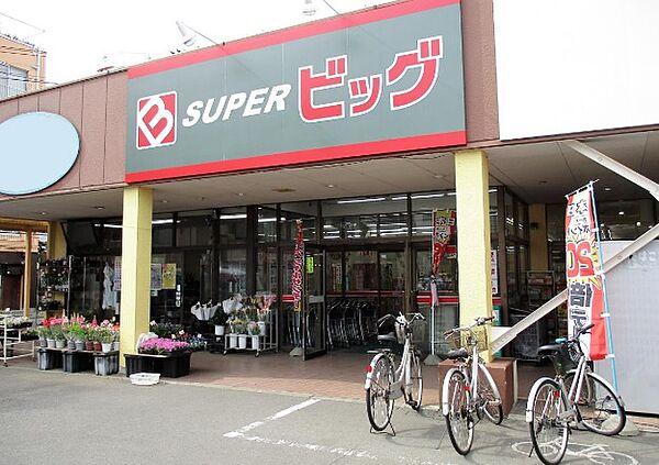 【周辺】スーパービッグ 原町店　700ｍ（徒歩9分）