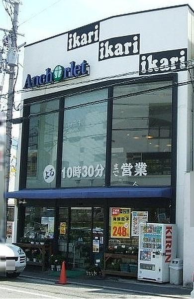 【周辺】いかりスーパーマーケットJR芦屋店（518m）