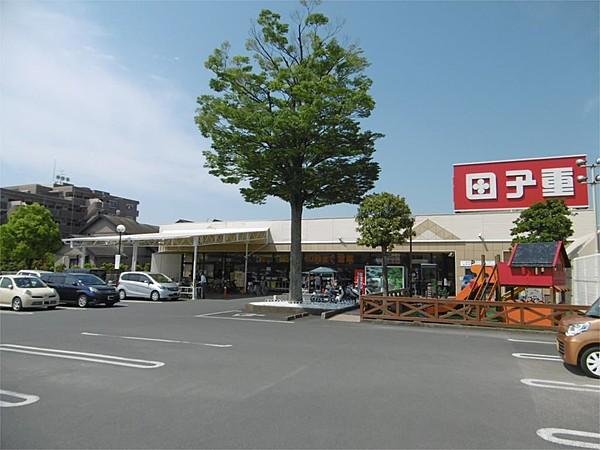 【周辺】スーパー田子重 セナ店（921m）