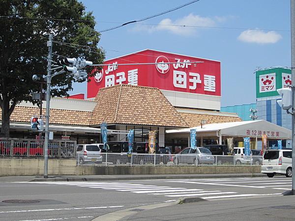 【周辺】スーパー田子重 下川原店（1192m）