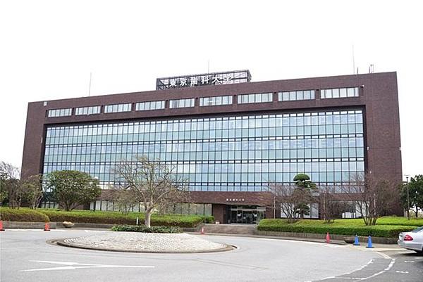 【周辺】東京歯科大学 千葉歯科医療センター（550m）