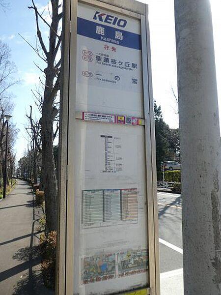 【周辺】【バス停】聖蹟桜ヶ丘駅行きの鹿島バス停まで70ｍ