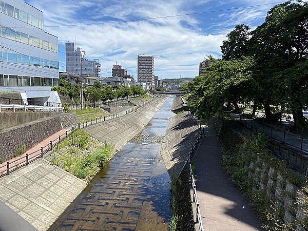 【周辺】乞田川。永山駅方面。川沿いは比較的平坦なので、ランニングやウォーキングがし易いです。
