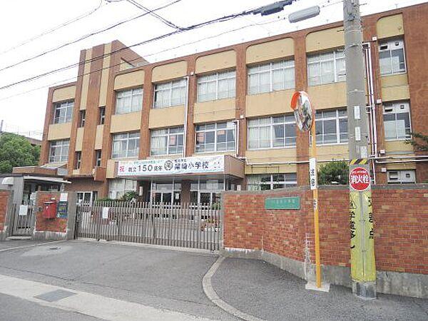 【周辺】【小学校】阪南市立尾崎小学校まで742ｍ