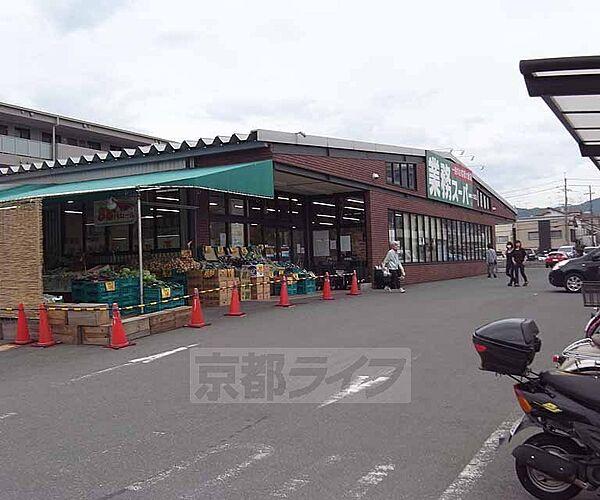 【周辺】業務スーパー 太秦店まで551m 丸太町通りのマツモトを目印に その道挟んで隣です