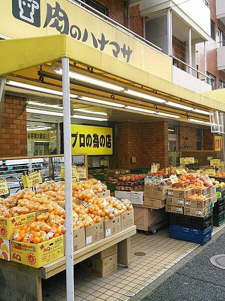 【周辺】肉のハナマサ 錦糸町店（460m）