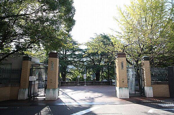 【周辺】私立椙山女学園高校 781m
