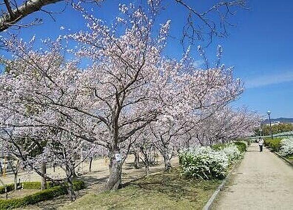 【周辺】瑞ケ池公園 956m