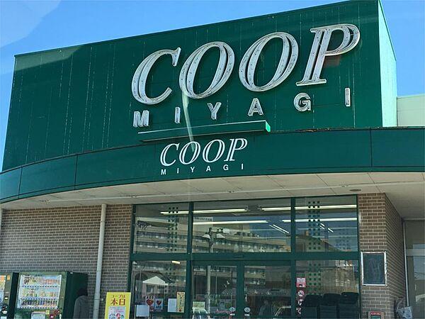 【周辺】COOP MIYAGI（コープ ミヤギ） みやぎ生協 台原店（318m）