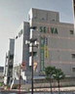【周辺】【ショッピングセンター】SELVA Terrace(セルバテラス)まで639ｍ