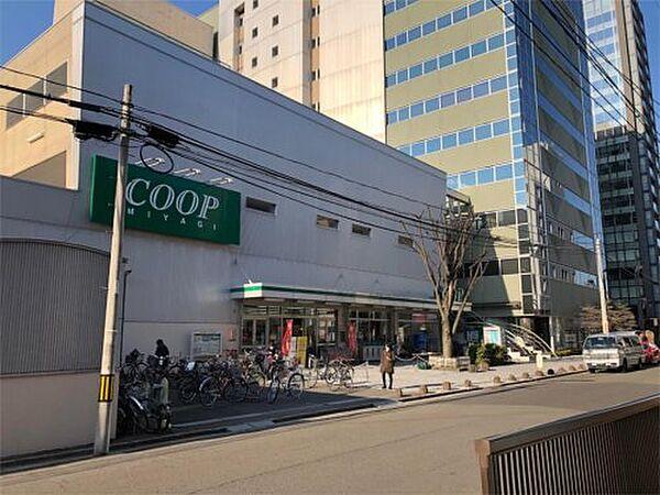 【周辺】【スーパー】COOP MIYAGI(コープ ミヤギ) みやぎ生協 柏木店まで497ｍ