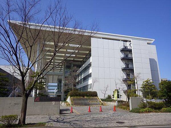 【周辺】【大学】神奈川県立保健福祉大学まで538ｍ
