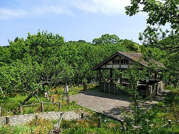 【周辺】田浦梅の里自然公園まで2665m、青い空、季節を感じさせてくれる木々。梅の季節には田浦梅林まつりでにぎわいます。