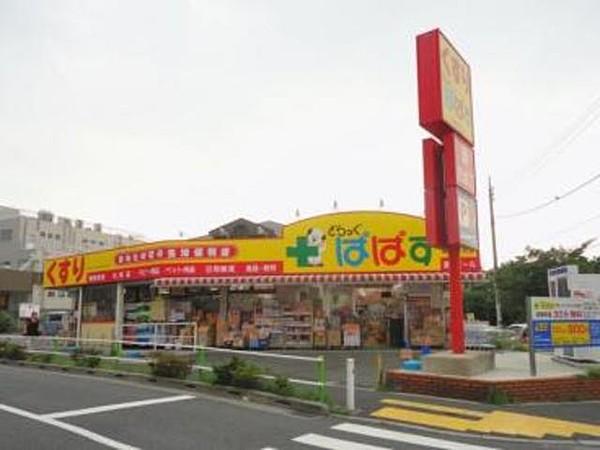 【周辺】どらっぐぱぱす板橋徳丸店 699m