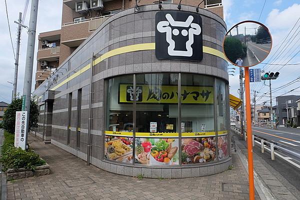 【周辺】肉のハナマサひばりヶ丘店 2m
