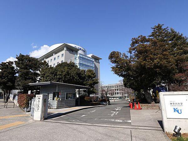 【周辺】大学「神奈川大学横浜キャンパスまで1400m」