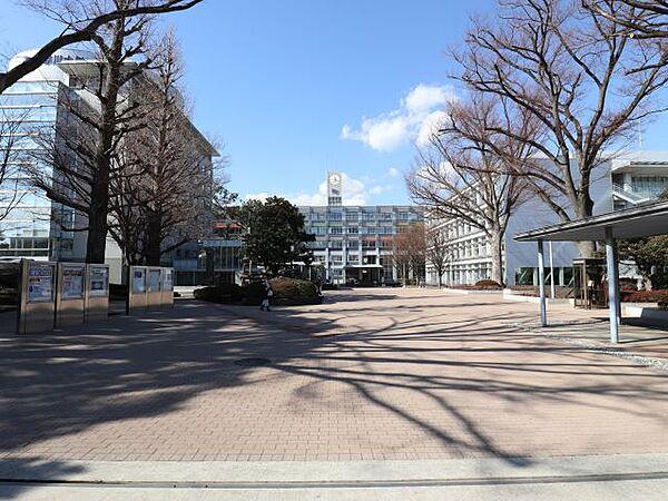 【周辺】大学「神奈川大学東門まで290m」