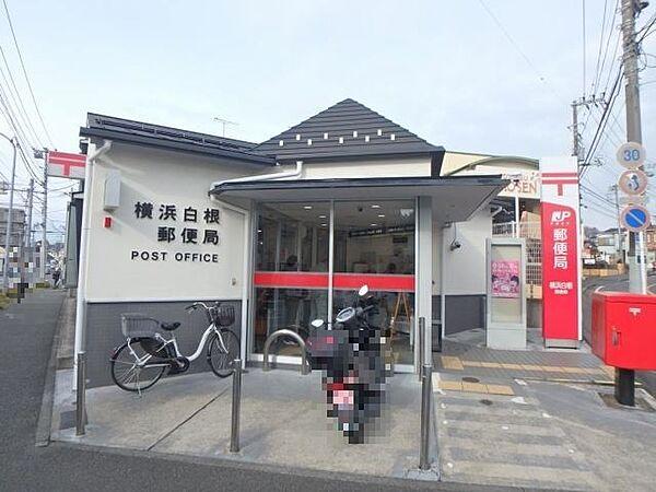 【周辺】郵便局「横浜白根郵便局まで703m」