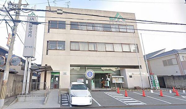 【周辺】【銀行】JA大阪中河内堅下支店まで454ｍ