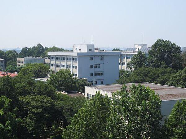 【周辺】大学「千葉大学松戸キャンパスまで2700m」