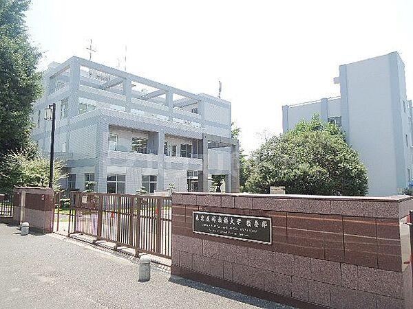 【周辺】国立大学法人東京医科歯科大学教養部 徒歩91分。 7230m